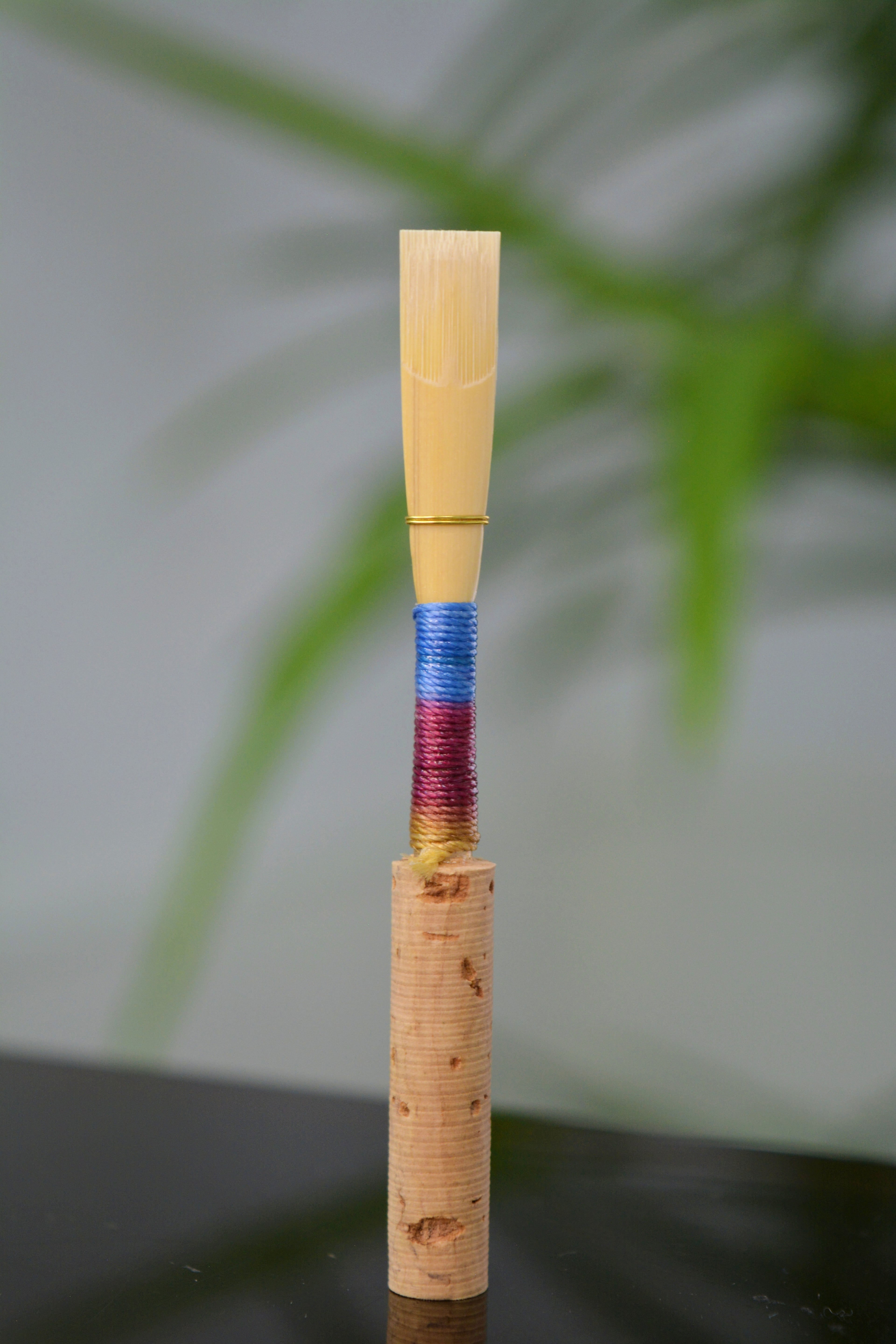 Caña de oboe raspada: Estudiante