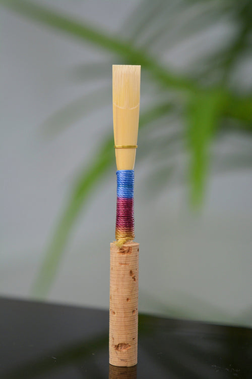 Caña de oboe raspada: Estudiante
